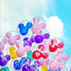 Meet your Posher, Lacy